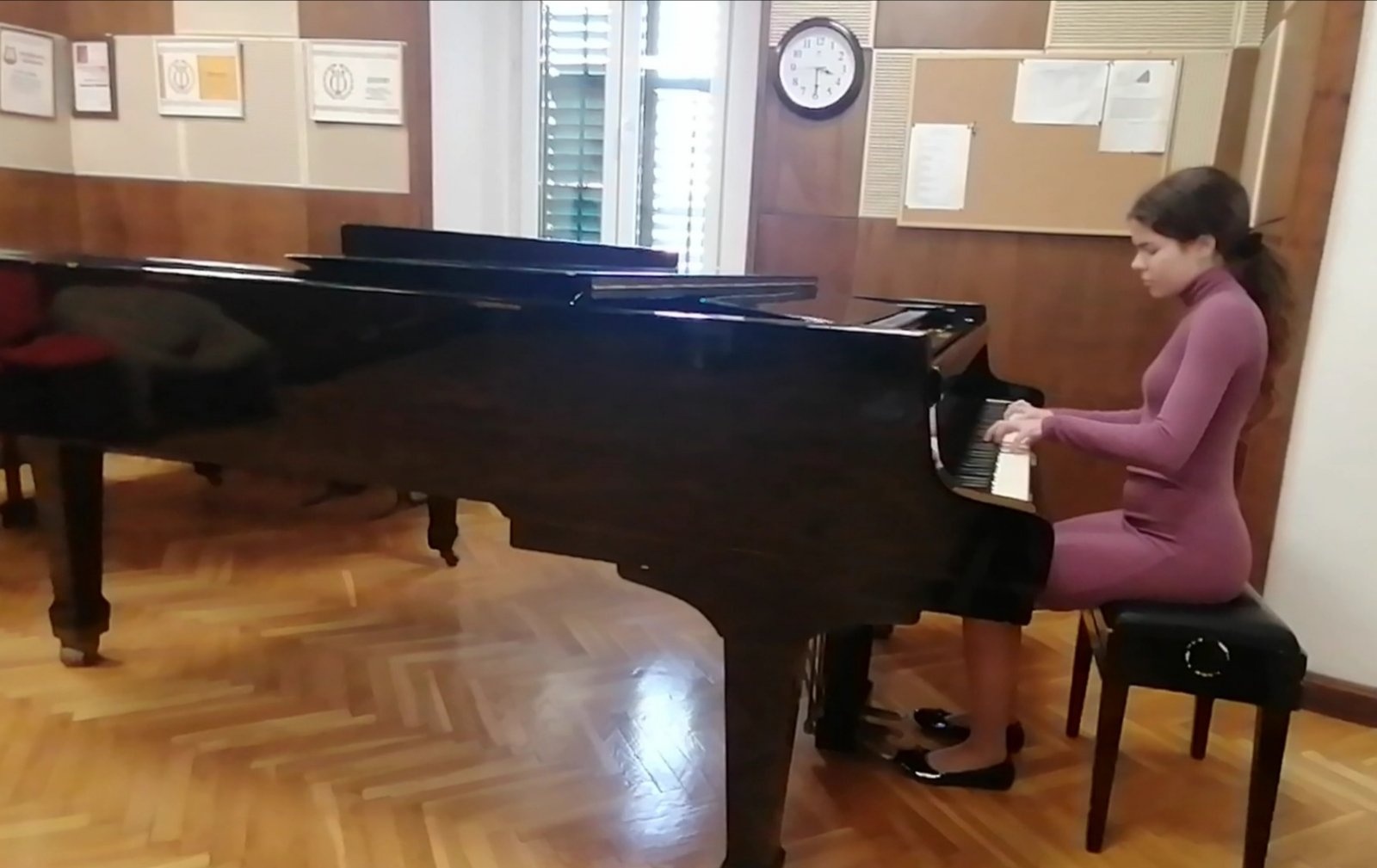 Vulanovic Milica